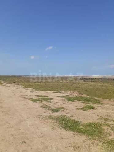 Продаётся  участок 109 сот, пос. Мамедли, photo 3 from 5