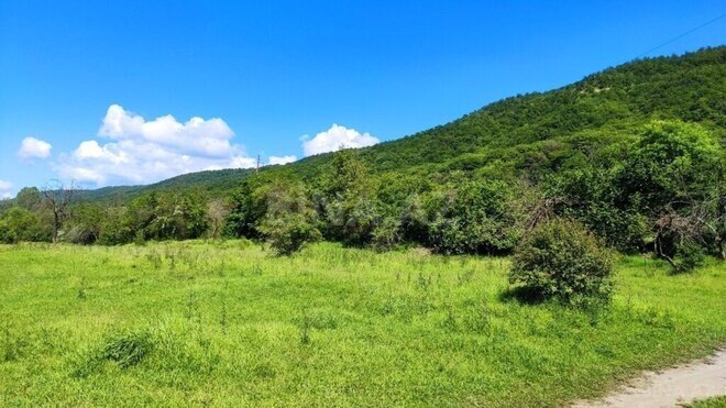 Продаётся  участок 200 сот, photo 10 from 18