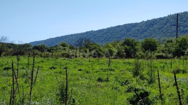 Продаётся  участок 200 сот, photo 8 from 18