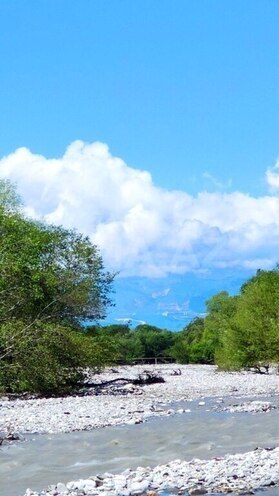 Продаётся  участок 200 сот, photo 14 from 18