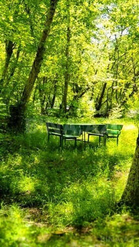 Продаётся  участок 200 сот, photo 6 from 18