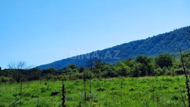 Продаётся  участок 200 сот, photo 7 from 18