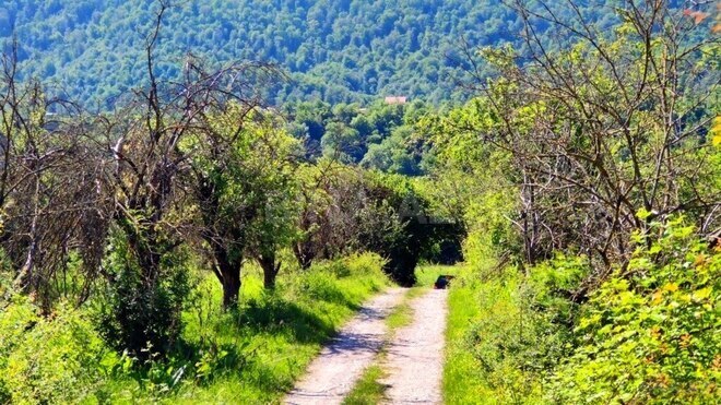 Продаётся  участок 200 сот, photo 9 from 18