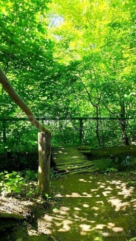 Продаётся  участок 200 сот, photo 17 from 18