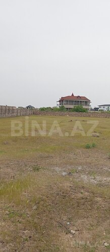 Satılır  torpaq 44 sot, Albalılıq q., photo 3 from 6