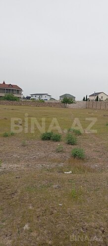 Satılır  torpaq 44 sot, Albalılıq q., photo 4 from 6