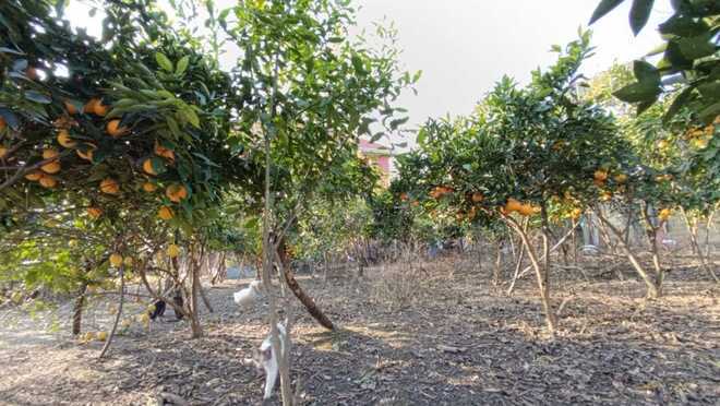 Продаётся 8-комн. дом/дача 222 м², Астара р., photo 26 from 32