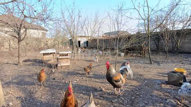 Продаётся 8-комн. дом/дача 222 м², Астара р., photo 27 from 32