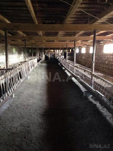 Продаётся  участок 240 сот, photo 11 from 24