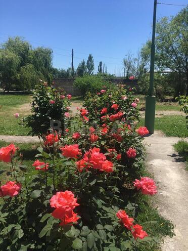 Продаётся  участок 240 сот, photo 21 from 24