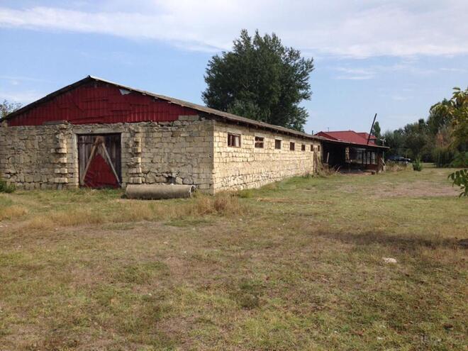 Продаётся  участок 240 сот, photo 10 from 24