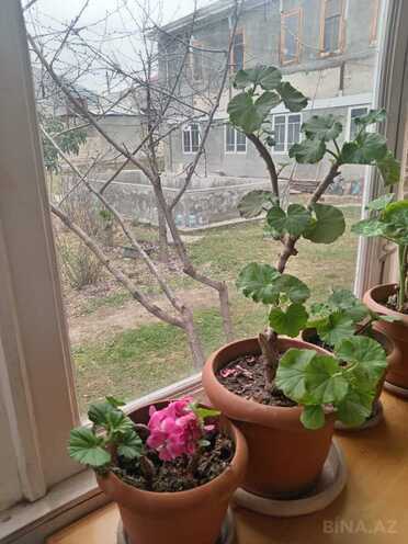 İcarəyə verilir 3 otaqlı həyət evi/bağ evi 100 m², photo 7 from 15