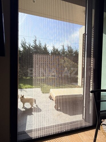 İcarəyə verilir 1 otaqlı həyət evi/bağ evi 60 m², Sea Breeze q., photo 19 from 20