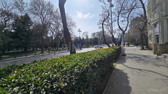 Сдаётся  объект 73 м², Насиминский  р., photo 16 from 18