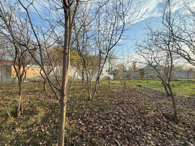 Продаётся 3-комн. дом/дача 120 м², photo 14 from 32