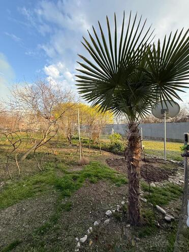 Продаётся 3-комн. дом/дача 120 м², photo 9 from 32