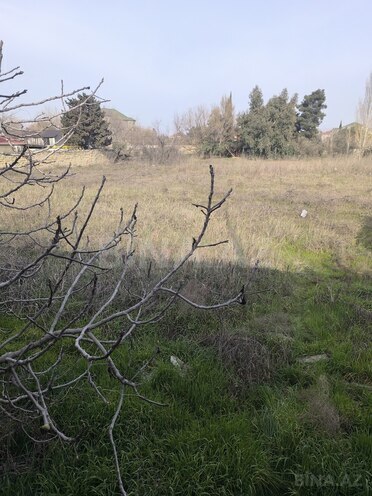 Продаётся  участок 41 сот, пос. Новханы, photo 7 from 22