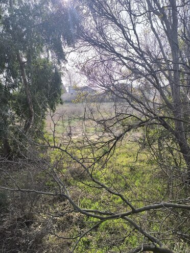 Продаётся  участок 41 сот, пос. Новханы, photo 17 from 22