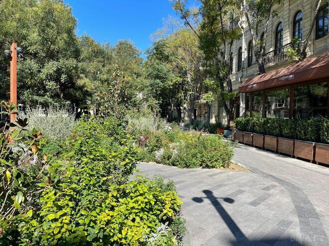 İcarəyə verilir 5 otaqlı köhnə tikili 180 m², Sahil m., photo 30 from 32