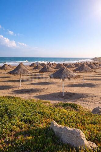 İcarəyə verilir 1 otaqlı həyət evi/bağ evi 55 m², Sea Breeze q., photo 11 from 18