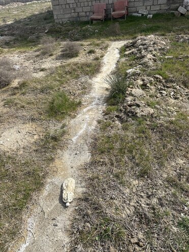 Продаётся  участок 15 сот, пос. Бина, photo 7 from 15