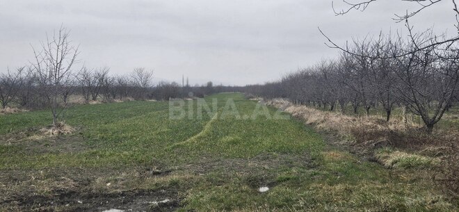 Продаётся  участок 114 сот, photo 3 from 4