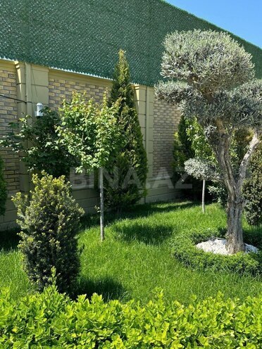 İcarəyə verilir 5 otaqlı həyət evi/bağ evi 390 m², Şüvəlan q., photo 8 from 28