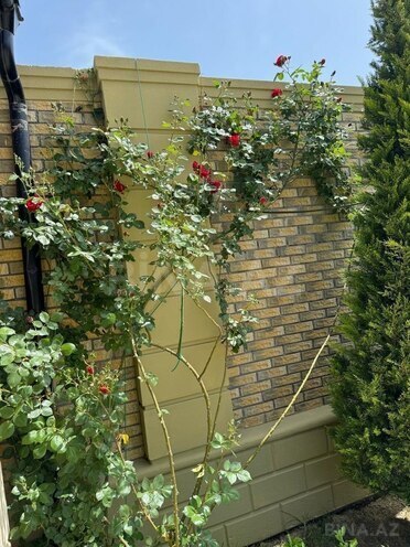 İcarəyə verilir 5 otaqlı həyət evi/bağ evi 390 m², Şüvəlan q., photo 12 from 28