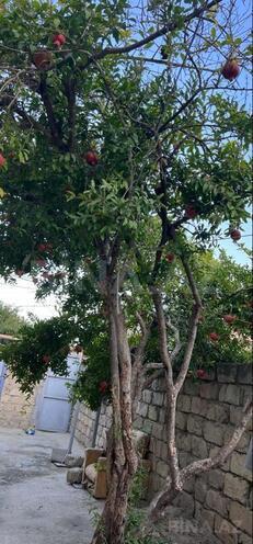 Продаётся 4-комн. дом/дача 100 м², пос. Зых, photo 15 from 18