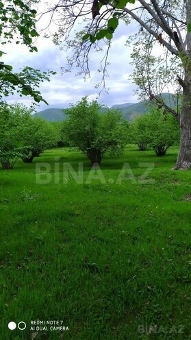 Продаётся  участок 450 сот, photo 3 from 10