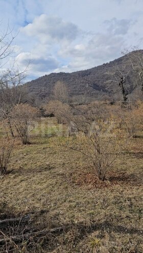 Satılır  torpaq 26 sot, photo 5 from 12