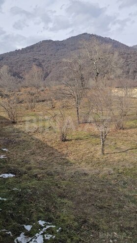 Satılır  torpaq 26 sot, photo 4 from 12