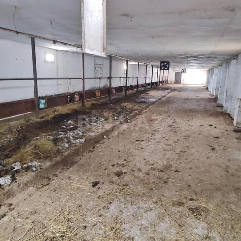 Продаётся  объект 8 500 м², Гарадагский р., photo 6 from 26