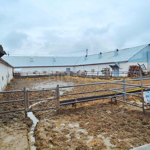 Продаётся  объект 8 500 м², Гарадагский р., photo 17 from 26