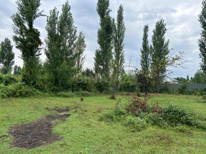 Satılır  torpaq 12 sot, photo 7 from 16