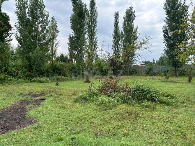 Satılır  torpaq 12 sot, photo 8 from 16