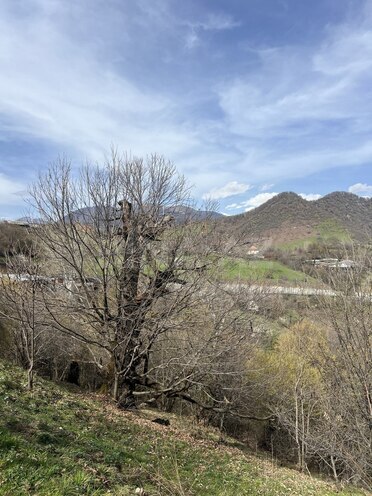 Продаётся  участок 4.5 сот, photo 3 from 17