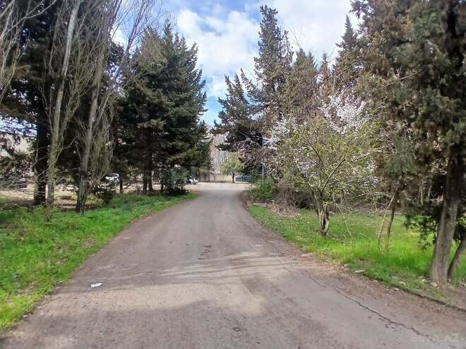 Satılır  obyekt 900 m², photo 8 from 10