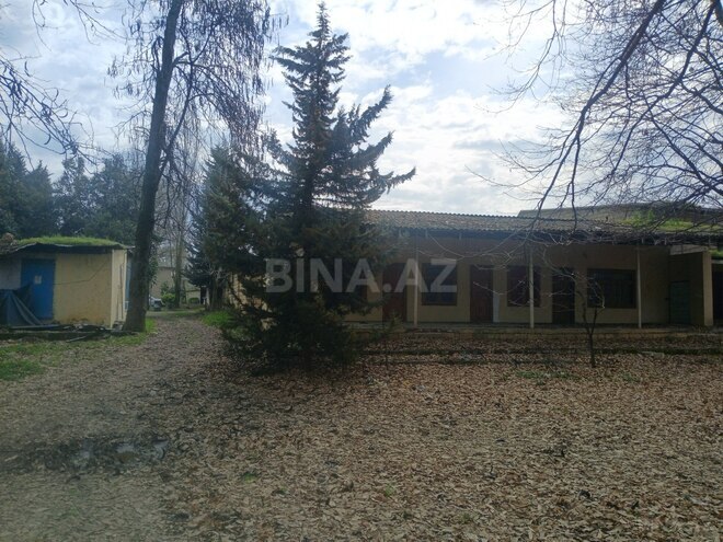 Satılır  obyekt 900 m², photo 9 from 10