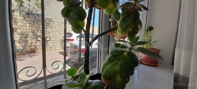 Satılır 4 otaqlı həyət evi/bağ evi 140 m², Sahil q., photo 29 from 31