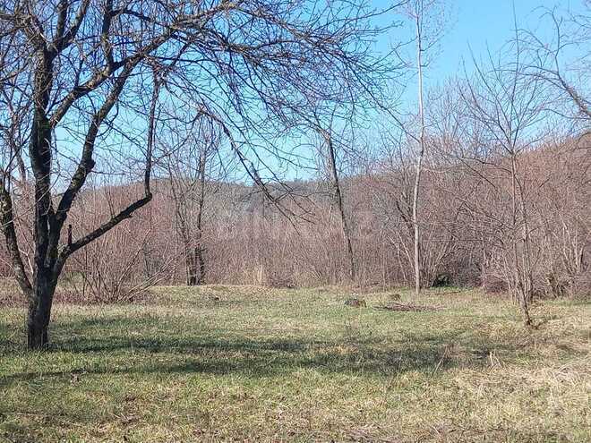 Satılır  torpaq 163 sot, photo 3 from 6