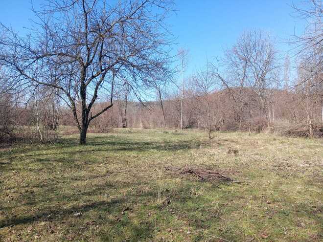 Satılır  torpaq 163 sot, photo 4 from 6