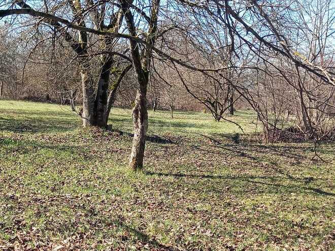 Satılır  torpaq 163 sot, photo 5 from 6