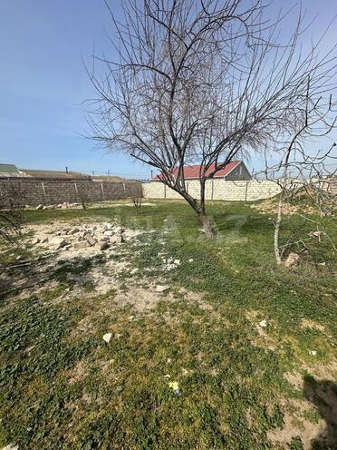 Satılır  torpaq 6 sot, Buzovna q., photo 4 from 6