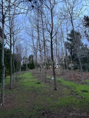 Satılır 6 otaqlı həyət evi/bağ evi 750 m², Pirşağı q., photo 27 from 31