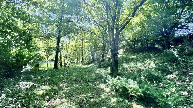 Satılır  torpaq 6 sot, photo 3 from 11