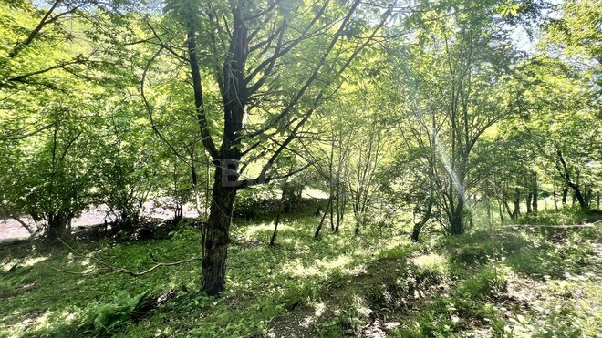 Satılır  torpaq 6 sot, photo 9 from 11