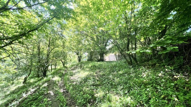 Satılır  torpaq 6 sot, photo 10 from 11