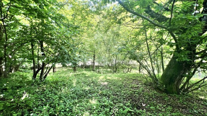 Satılır  torpaq 6 sot, photo 8 from 11