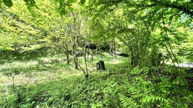 Satılır  torpaq 6 sot, photo 5 from 11